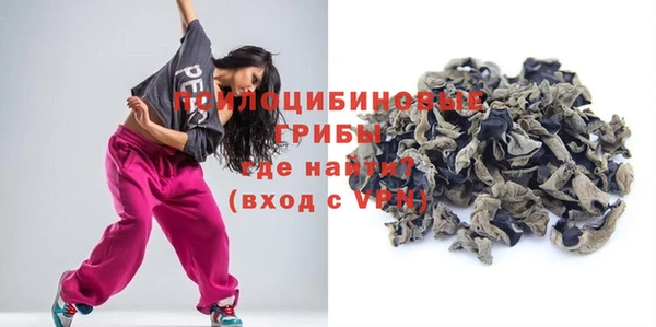 шишки Баксан