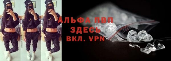 трава Белокуриха
