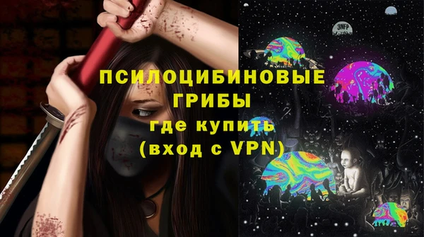 прущие грибы Нефтегорск