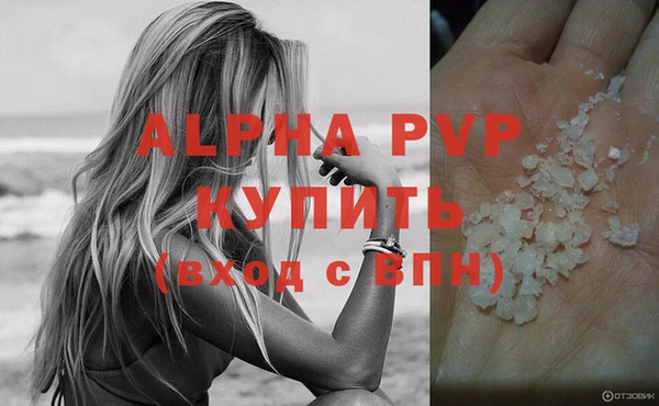 трава Белокуриха