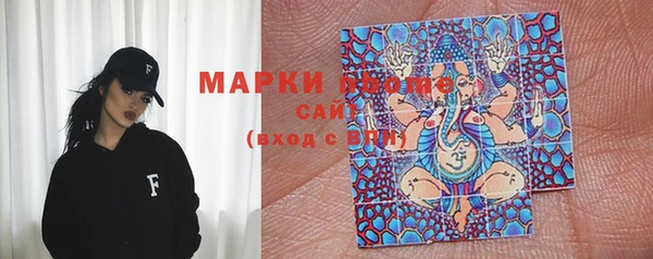 трава Белокуриха