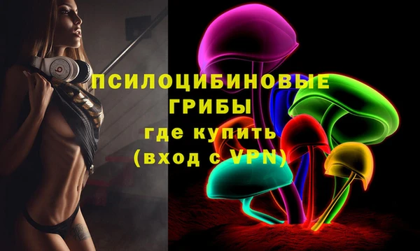 трава Белокуриха