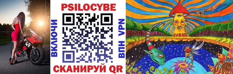 kraken tor  Яровое  Псилоцибиновые грибы Magic Shrooms 